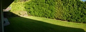Enlarge photo 41