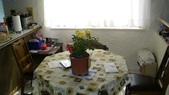 Enlarge photo 26