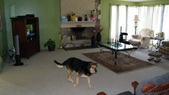 Enlarge photo 13
