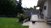 Enlarge photo 33