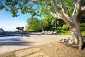 Enlarge photo 71