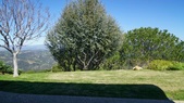 Enlarge photo 106