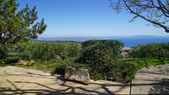 Enlarge photo 110
