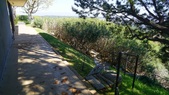 Enlarge photo 113
