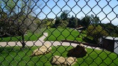 Enlarge photo 126