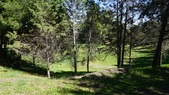 Enlarge photo 129