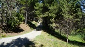 Enlarge photo 130