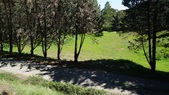 Enlarge photo 131