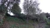 Enlarge photo 37