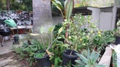 Enlarge photo 51