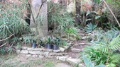 Enlarge photo 53