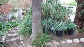 Enlarge photo 55