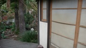 Enlarge photo 57
