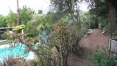 Enlarge photo 61