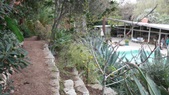 Enlarge photo 63