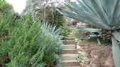Enlarge photo 67
