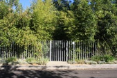 Enlarge photo 52