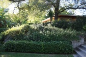 Enlarge photo 40