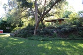Enlarge photo 43