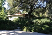 Enlarge photo 45