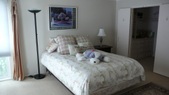 Enlarge photo 42