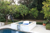 Enlarge photo 48