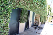 Enlarge photo 75