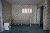 Enlarge photo 93