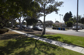 Enlarge photo 37