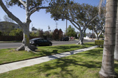 Enlarge photo 39