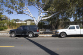 Enlarge photo 30