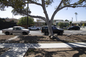 Enlarge photo 33