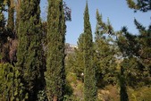 Enlarge photo 51