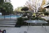 Enlarge photo 44