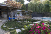 Enlarge photo 51