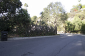 Enlarge photo 57