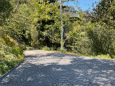 Enlarge photo 83