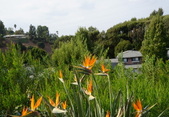 Enlarge photo 38