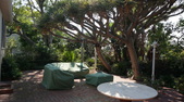 Enlarge photo 45