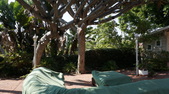 Enlarge photo 47