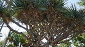 Enlarge photo 48
