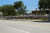 Enlarge photo 41