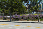 Enlarge photo 42