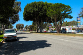 Enlarge photo 38
