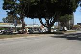 Enlarge photo 43