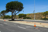 Enlarge photo 34