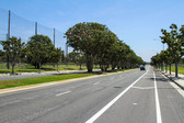 Enlarge photo 44