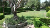 Enlarge photo 93