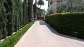 Enlarge photo 71