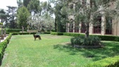 Enlarge photo 81